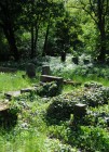14 Jüdischer Friedhof Lodz 2