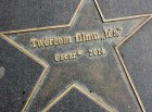 Walk of fame - Piotrowska